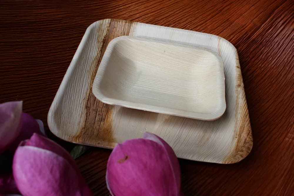 ظروف یکبار مصرف گیاهی در مایکروویو با بررسی نکات استفاده و نگهداری